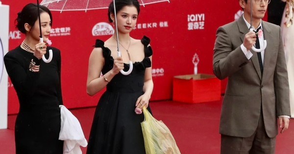 Túi nylon đựng rác Trương Tịnh Nghi sử dụng không phải của nhà mốt Balenciaga: Sự thật là gì?