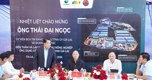 DHN Gia Lai vận hành sớm 10 tháng, mở rộng chuỗi chăn nuôi hiện đại