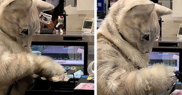 13 bức ảnh chứng minh Nhật Bản không thuộc hành tinh này