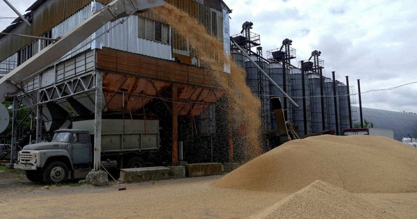 Sau Trung Quốc, đến lượt Nga siết xuất khẩu mặt hàng nuôi sống thế giới, làm rung chuyển thị trường lương thực toàn cầu