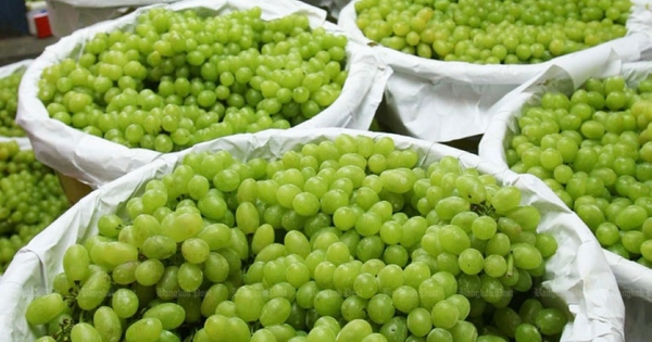 Trung Quốc vừa đón tin cực vui từ Việt Nam