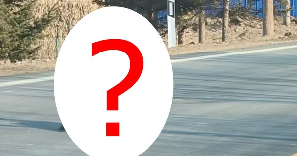 Thấy sinh vật cao gần 1 mét ngang nhiên băng qua đường, chuyên gia hé lộ đó là loài ít ai ngờ tới