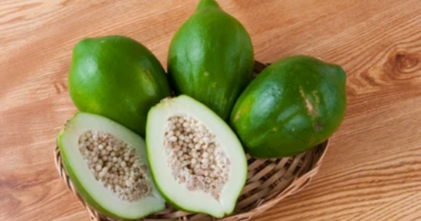 5 lợi ích bất ngờ của đu đủ xanh với sức khỏe