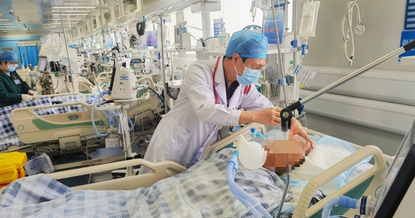 Người đàn ông ngộ độc suýt tử vong vì món rau nhiều người thích, có thể xuất hiện trên mâm cơm Việt 3 bữa một ngày