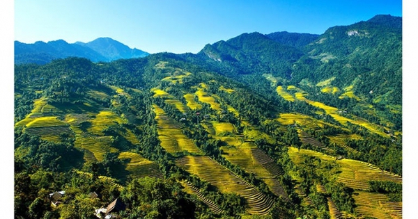 Việt Nam sở hữu 