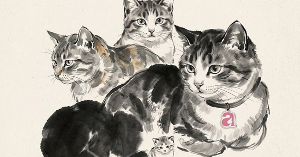 Nếu bạn thuộc 4 con giáp này, chuyện tình cảm sắp có biến chuyển bất ngờ