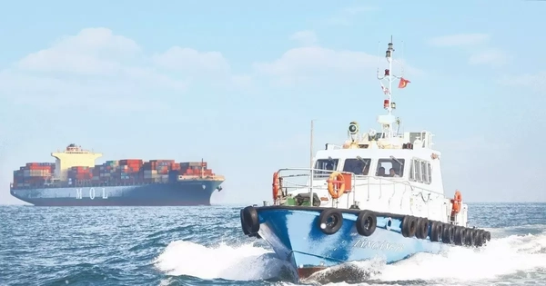 Tàu biển mang cờ Việt Nam được giảm phí vận tải