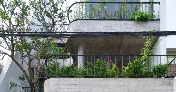 Nhà phố hiện đại kết nối con người và thiên nhiên