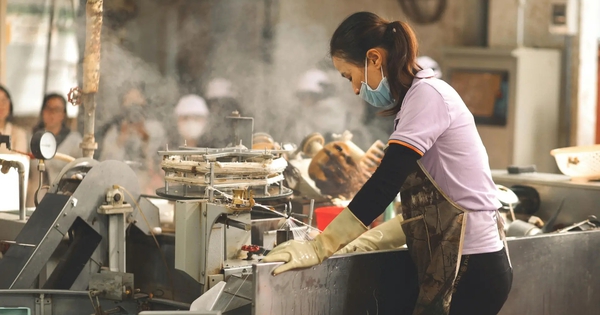 Một ngành Việt Nam vươn top châu Á: FAO khen ngợi chuyển đổi nhanh, tương lai đóng vai trò dẫn dắt