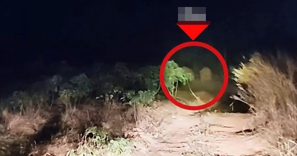 Sau tiếng rống xé toang màn đêm, con thú khổng lồ khoảng 3 tấn lao thẳng vào nhà dân: Cảnh tượng ám ảnh