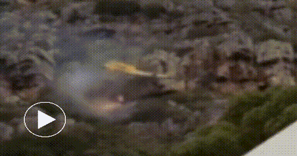 Trực thăng cứu hỏa va vách đá, rơi thẳng vào đám cháy lớn, tình trạng phi công ra sao?