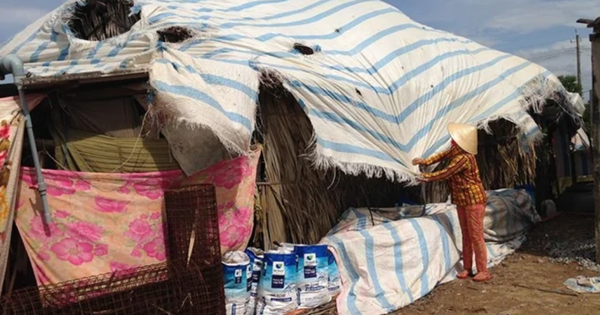 Ngày bố mẹ tôi dọn ra ở tạm góc vườn, chồng cười nhạt nói một câu mà tôi không quên được