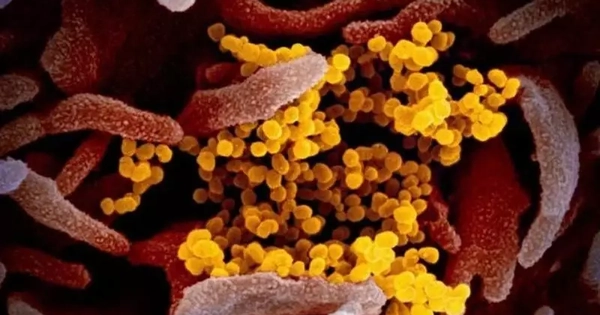 Bộ Y tế ra khuyến cáo về biến thể mới của SARS-CoV-2