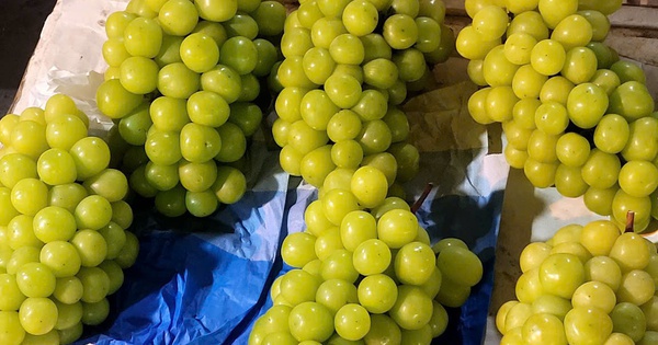 Việt Nam chi hàng trăm triệu USD nhập khẩu nho tươi Trung Quốc