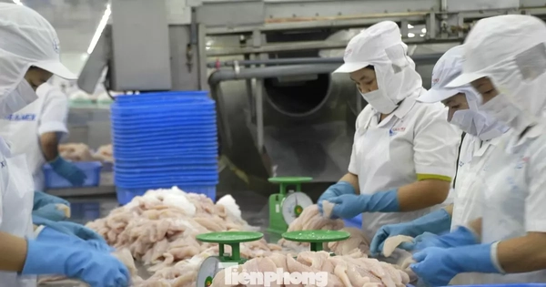 Nhà hàng sushi trong nhóm ‘khó tính’ nhất thế giới dùng cá tra Việt Nam