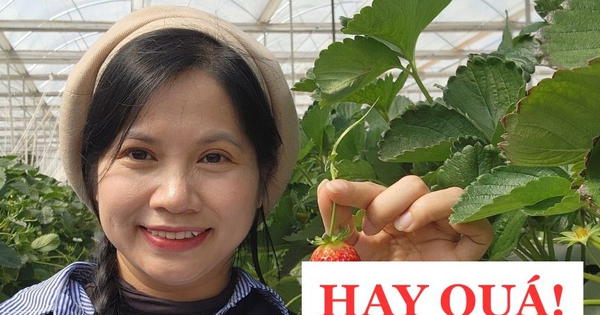 Bà mẹ Hà Nội chỉ cách nuôi dạy con thành CÔNG DÂN TOÀN CẦU: Từ mầm non đến đại học, cực kì chi tiết