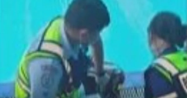 Đến trường học đón cháu nhưng không thấy đâu, bà đi tìm thì ngã quỵ khi thấy cậu bé nằm dưới đáy bể bơi