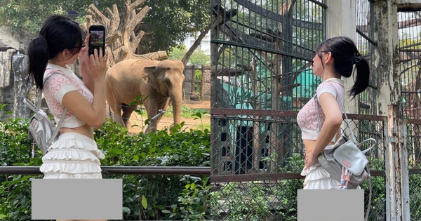 Phản cảm hình ảnh cô gái mặc váy ngắn đến lộ cả vòng 3 để đi Thảo Cầm Viên