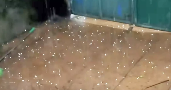 Hà Nội xuất hiện mưa đá