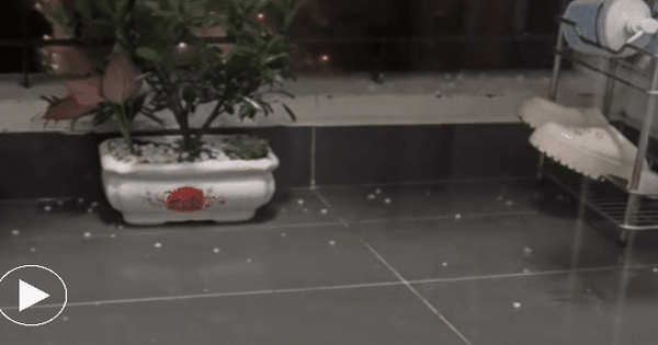 Hình ảnh mặt đường Hà Nội trắng xoá vì mưa đá