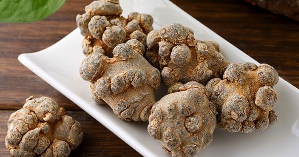 Cây tam thất có tác dụng gì?