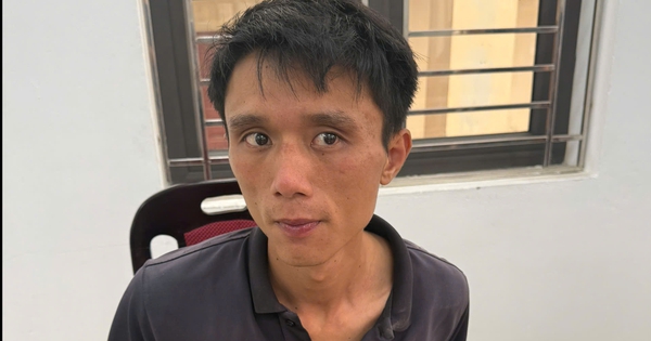 Bắt nghi phạm sát hại cụ bà 87 tuổi, phi tang thi thể tại vườn chuối