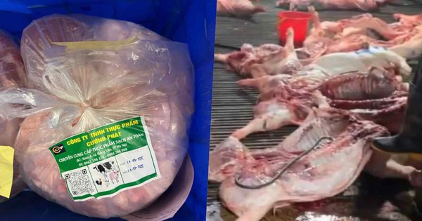 Vụ 300 tấn thịt lợn bệnh: Gói thầu hơn 10 tỷ đồng đưa thực phẩm bẩn vào trường tiểu học ở Hà Nội