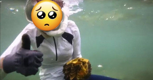 Khoảnh khắc lặn biển khiến 1 mỹ nhân suýt tù tội, 