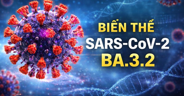 Biến thể Covid-19 “Ve sầu” xuất hiện tại hơn 20 quốc gia trên thế giới: CDC Hà Nội khuyến cáo
