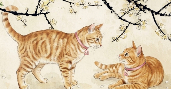 Trời sinh bản lĩnh: 4 con giáp lội ngược dòng ngoạn mục, từ giữa năm 2026 tiền tài rủng rỉnh, sự nghiệp thăng hoa đến ngỡ ngàng