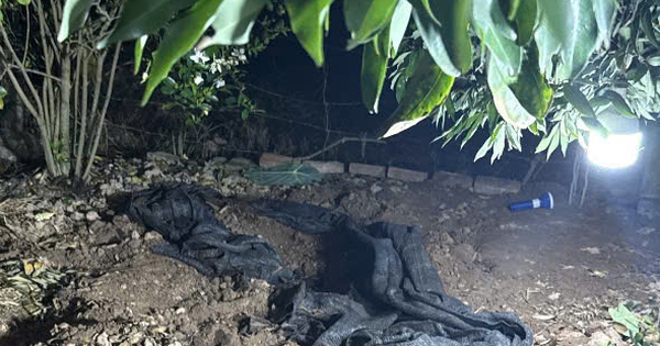 Sau khi sát hại và phi tang thi thể cụ bà, nghi phạm trèo lên cây trốn