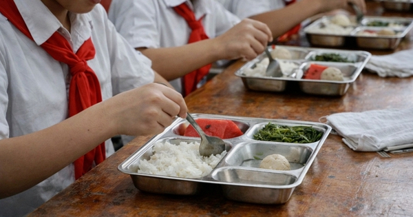 Hơn 2.900 trường học tại Hà Nội phải rà soát nhà cung cấp thực phẩm sau chấn động 300 tấn lợn bệnh len lỏi vào bếp ăn