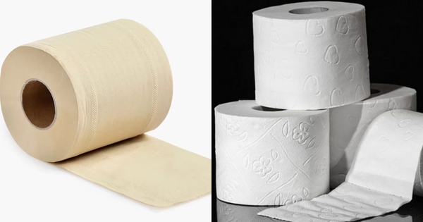 Giấy vệ sinh vàng và trắng: Loại nào an toàn, dùng tốt hơn?