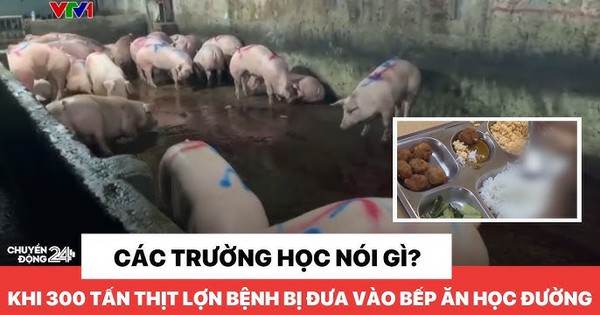 Nguy cơ kép từ 300 tấn thịt lợn bệnh - trẻ em chịu ảnh hưởng nặng nề nhất!