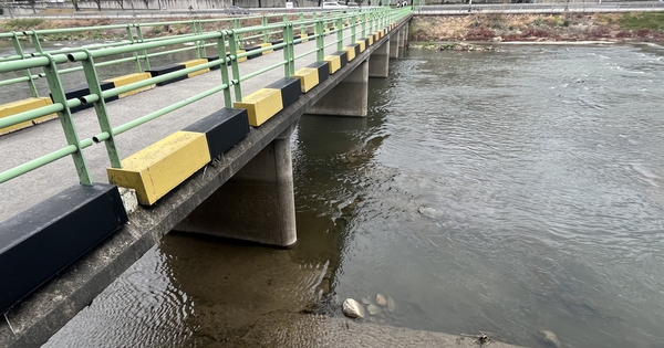 Vụ vali chứa thi thể ở trung tâm thành phố: Bắt giữ con gái và con rể nạn nhân