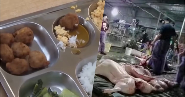 Vụ 300 tấn thịt lợn bệnh: Bất ngờ lời 