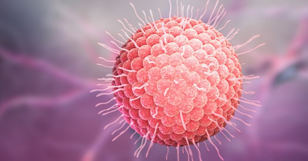 78% người lớn có một số bệnh lý mạn tính lo ngại zona gây gián đoạn cuộc sống