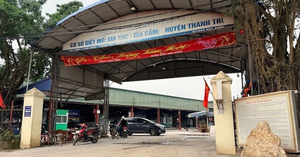 Vụ 300 tấn lợn bệnh tuồn vào bếp ăn trường học: Cán bộ kiểm dịch 'ra giá' thế nào?