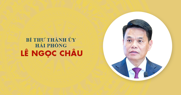 Infographic: Sự nghiệp tân Bí thư Thành ủy Hải Phòng Lê Ngọc Châu