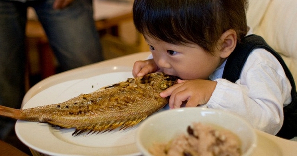 Những loại cá có nguy cơ chưa nhiều kim loại nặng cao, trẻ nhỏ nên hạn chế ăn