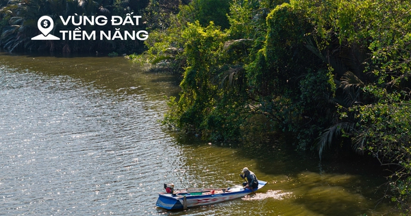 Toàn cảnh khu đất 187 ha toàn dừa nước, cỏ dại đang được Sun Group rót 6 tỷ USD để biến thành siêu đô thị ở TP.HCM