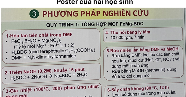 Bộ GD-ĐT kết luận gì về nghi vấn dự án đoạt giải nhất bị tố đạo văn?