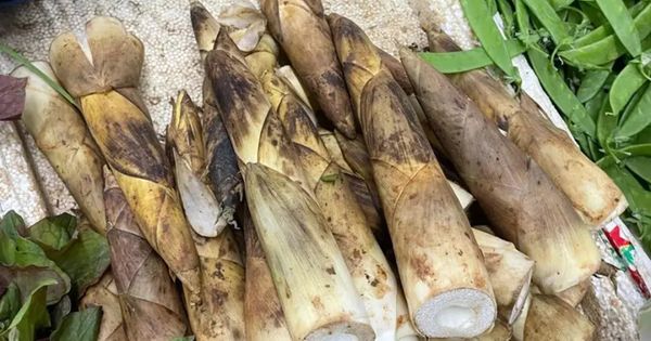 Ăn 1 loại rau khi đói bụng, người đàn ông nhập viện vì xuất huyết dạ dày, bác sĩ nhăn mặt: 