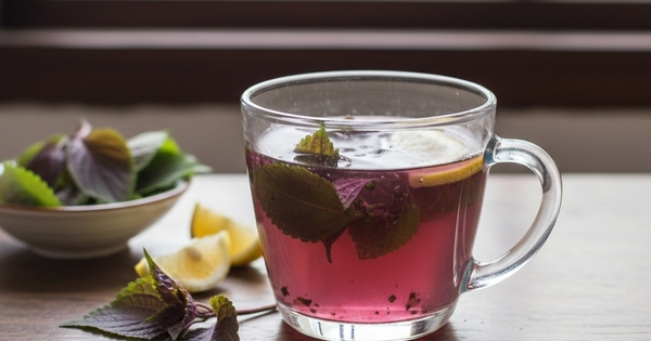 Điều gì xảy ra với cơ thể nếu uống nước gừng nấu với lá tía tô?