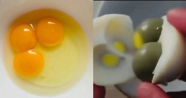 Người đàn ông đập trúng quả trứng 3 lòng đỏ hiếm nhất thế giới, xác suất khó hơn cả trúng Vietlott