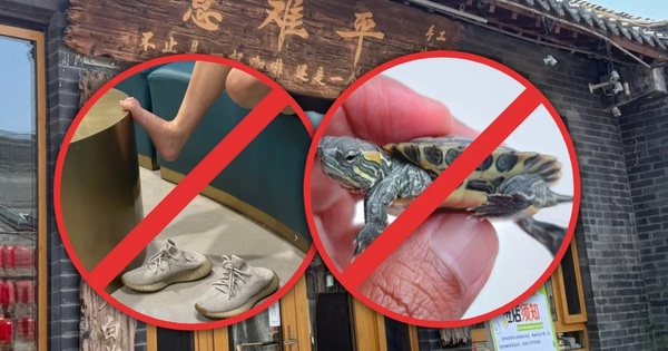 Quán cà phê càng nhiều quy định cấm, càng khiến thực khách thích thú