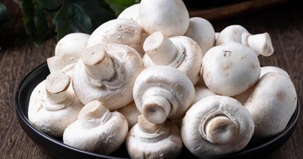 Giàu kali gấp hàng chục lần chuối, loại nấm giá rẻ giúp nhuận tràng, tốt gan, giảm mệt mỏi và tăng miễn dịch đang vào mùa