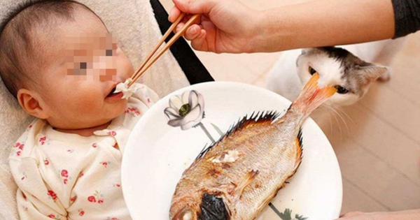 Hóc xương cá, bà nội đòi xử lý ngay tại nhà nhưng mẹ kiên quyết từ chối 3 lần, bác sĩ nói: 