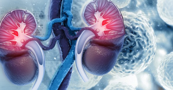 Thận xuống cấp nhanh chóng nếu ăn quá nhiều 9 loại thực phẩm này: Toàn món khoái khẩu của nhiều người