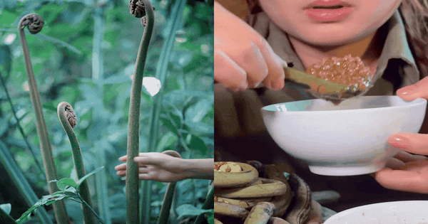 Thức quà mộc mạc chốn thâm sơn bỗng 